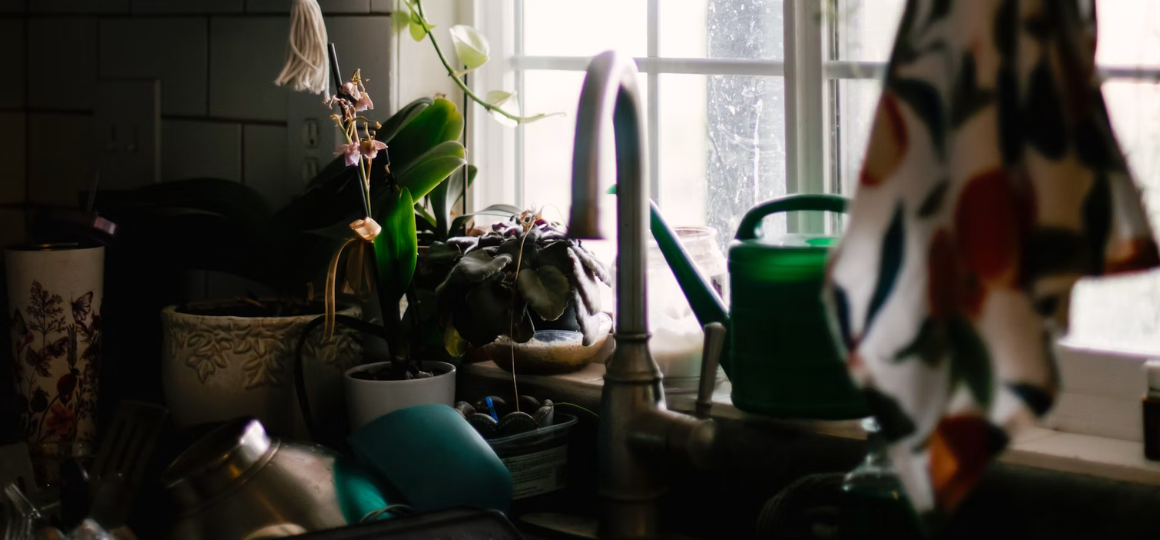Jak uporządkować kuchnię w stylu Zero Waste?